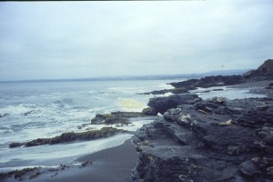 0162 Pacifik - Pelluhue.jpg